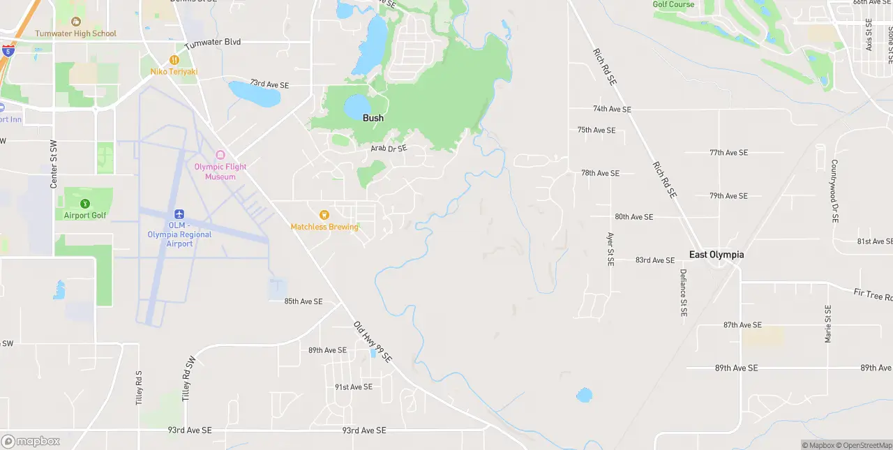Internet in Olympia