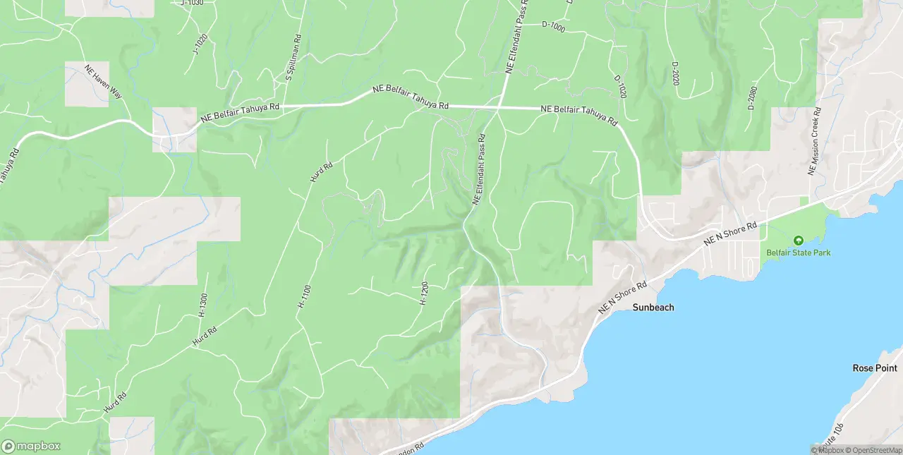 Internet in Belfair