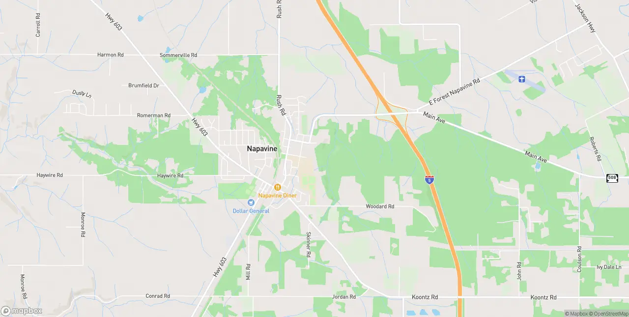 Internet in Napavine