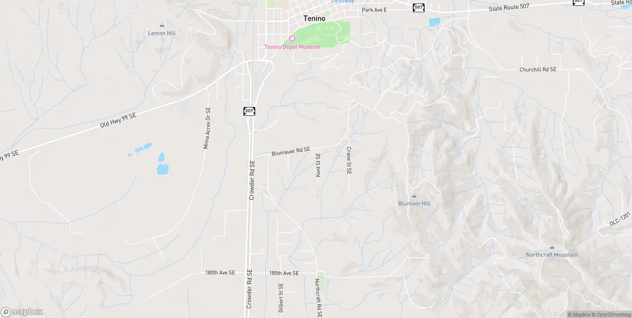 Internet in Tenino