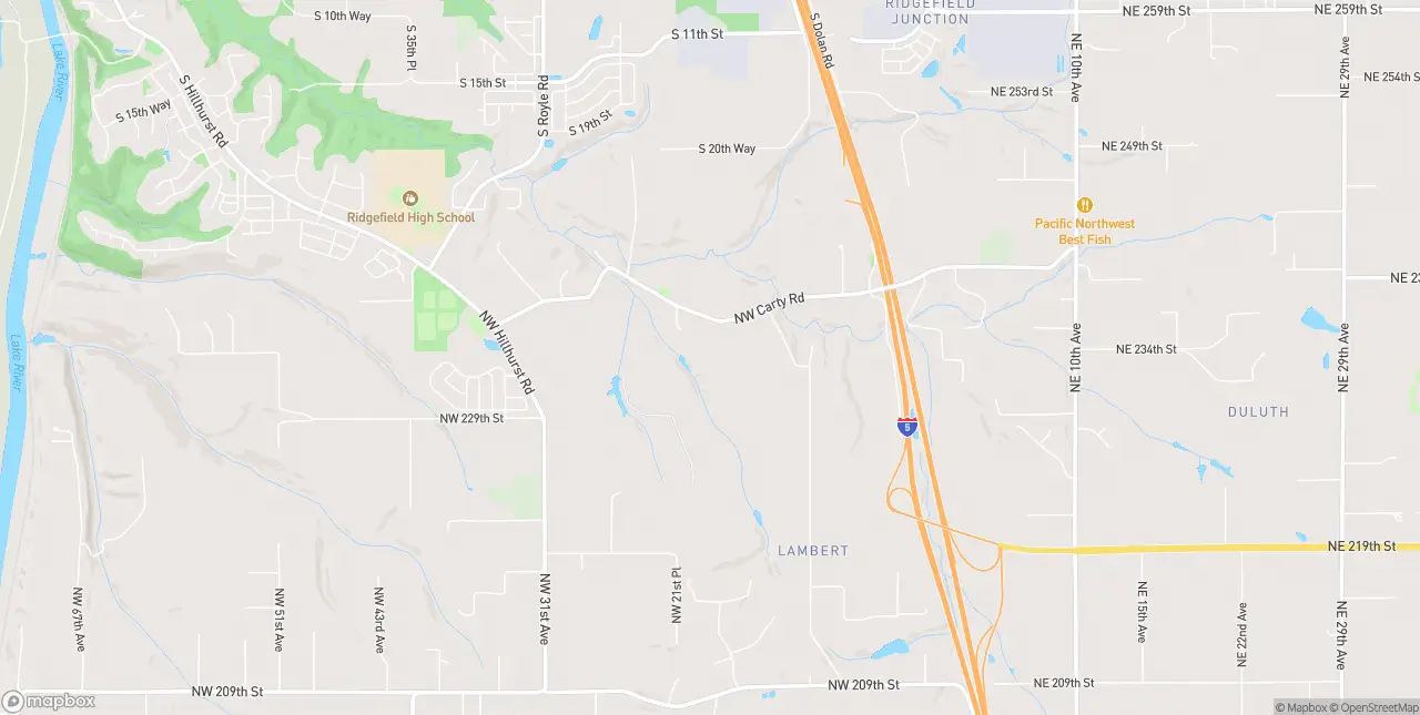 Internet in Ridgefield