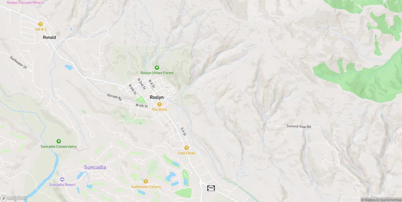 Internet in Roslyn