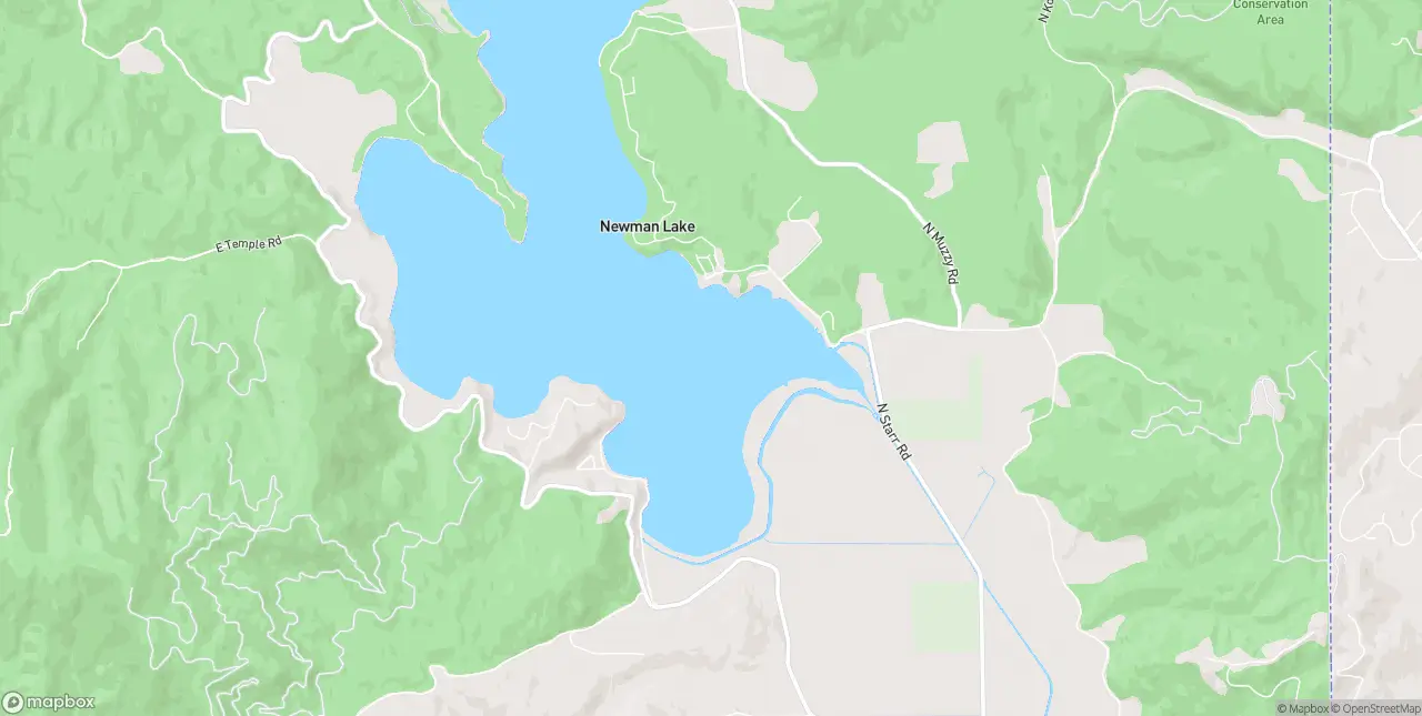 Internet in Newman Lake
