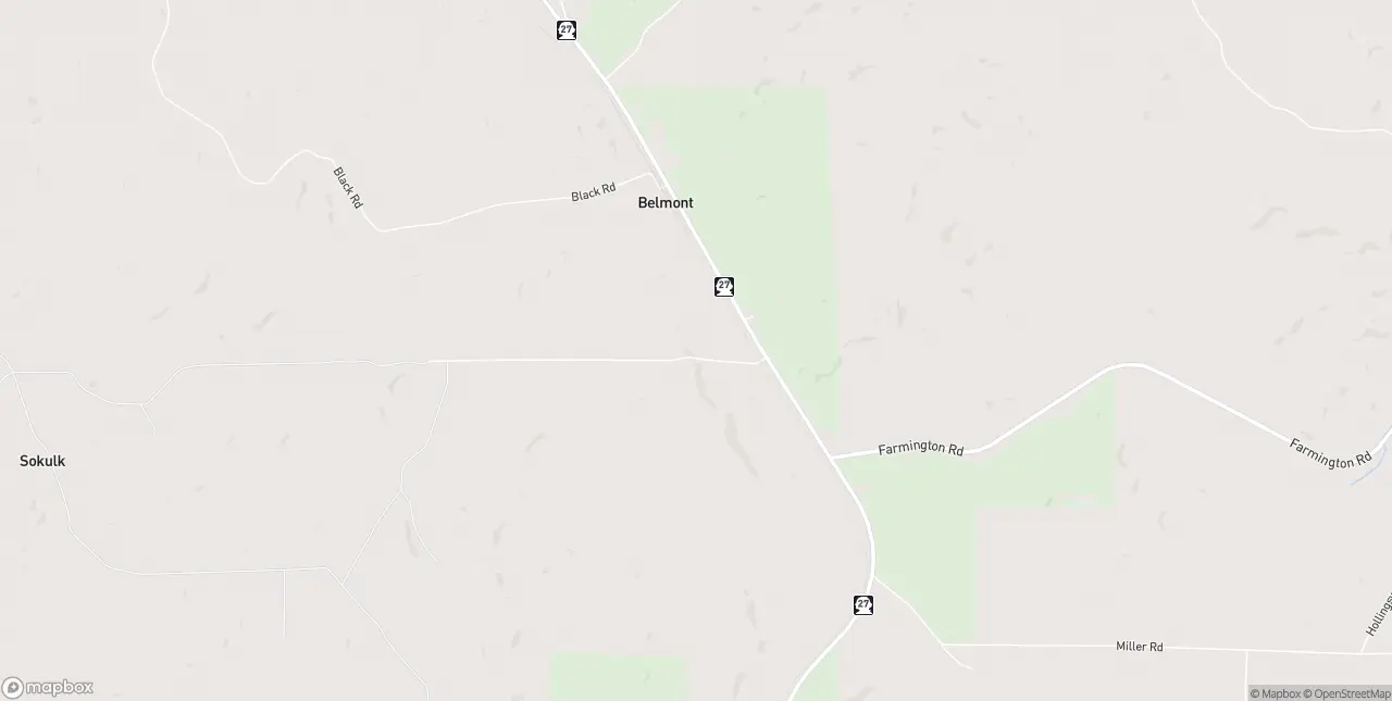 Internet in Belmont