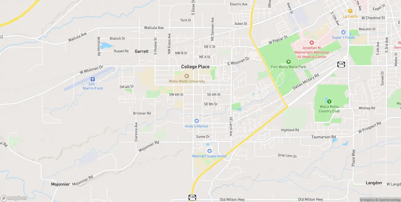 Internet in College Place