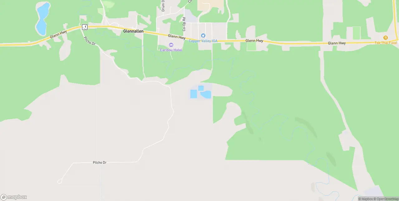 Internet in Glennallen